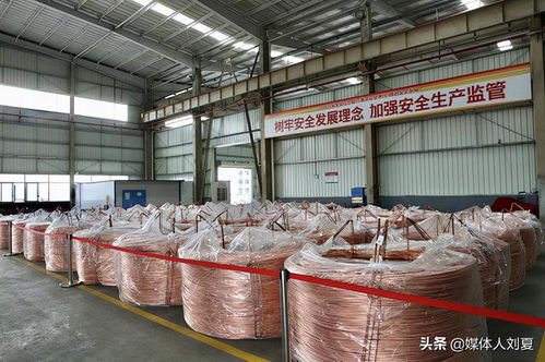 向綠而行，智造未來 湘潭金龍新材料的技術創(chuàng)新之路